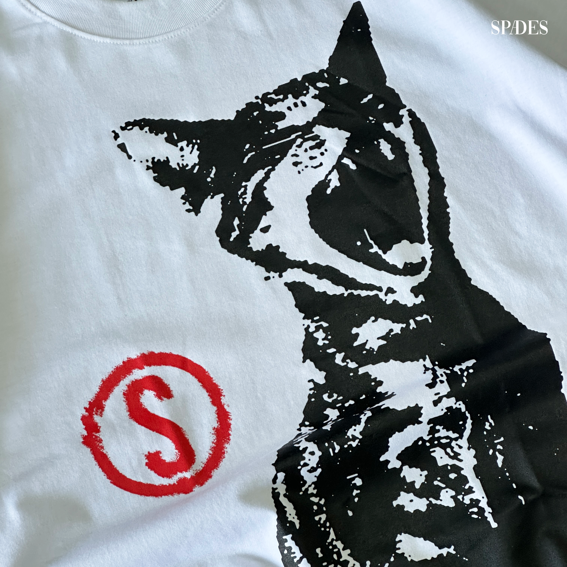 Mark of the Stray Box Tee  Crop White SPADES